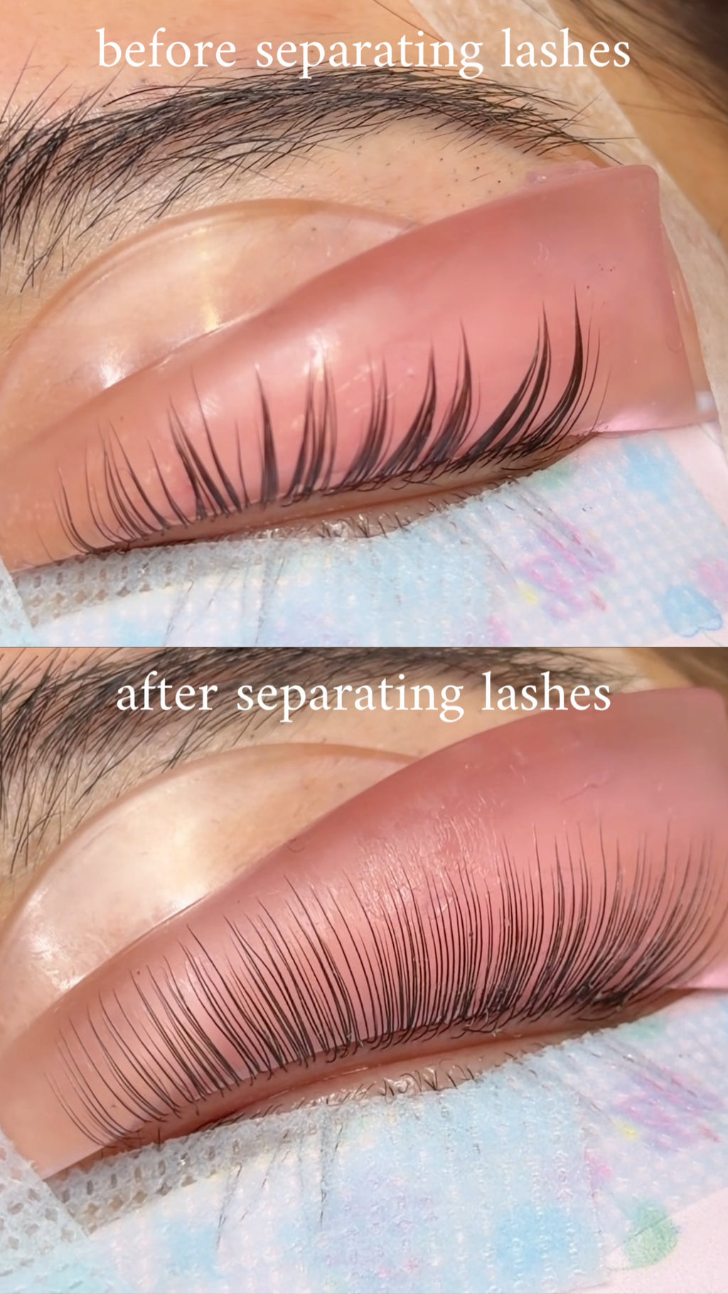 Lash Separator