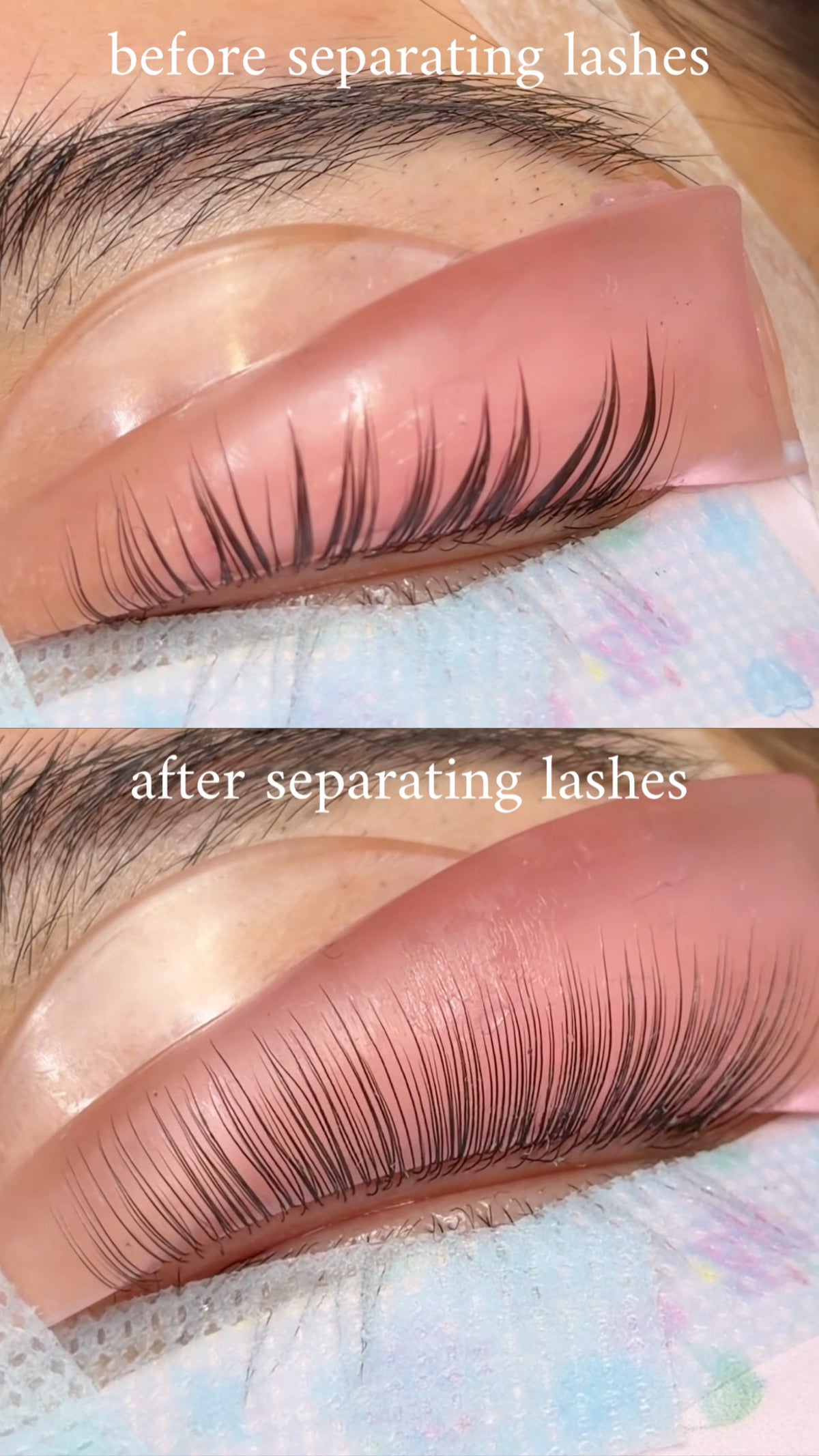 Lash Separator